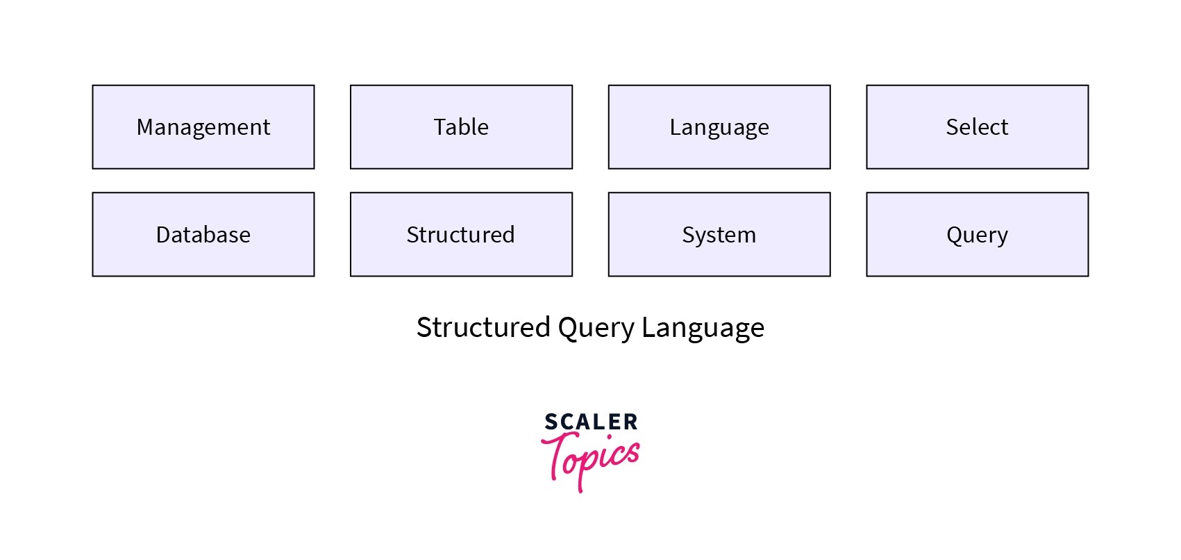 Keywords in SQL Scaler Topics