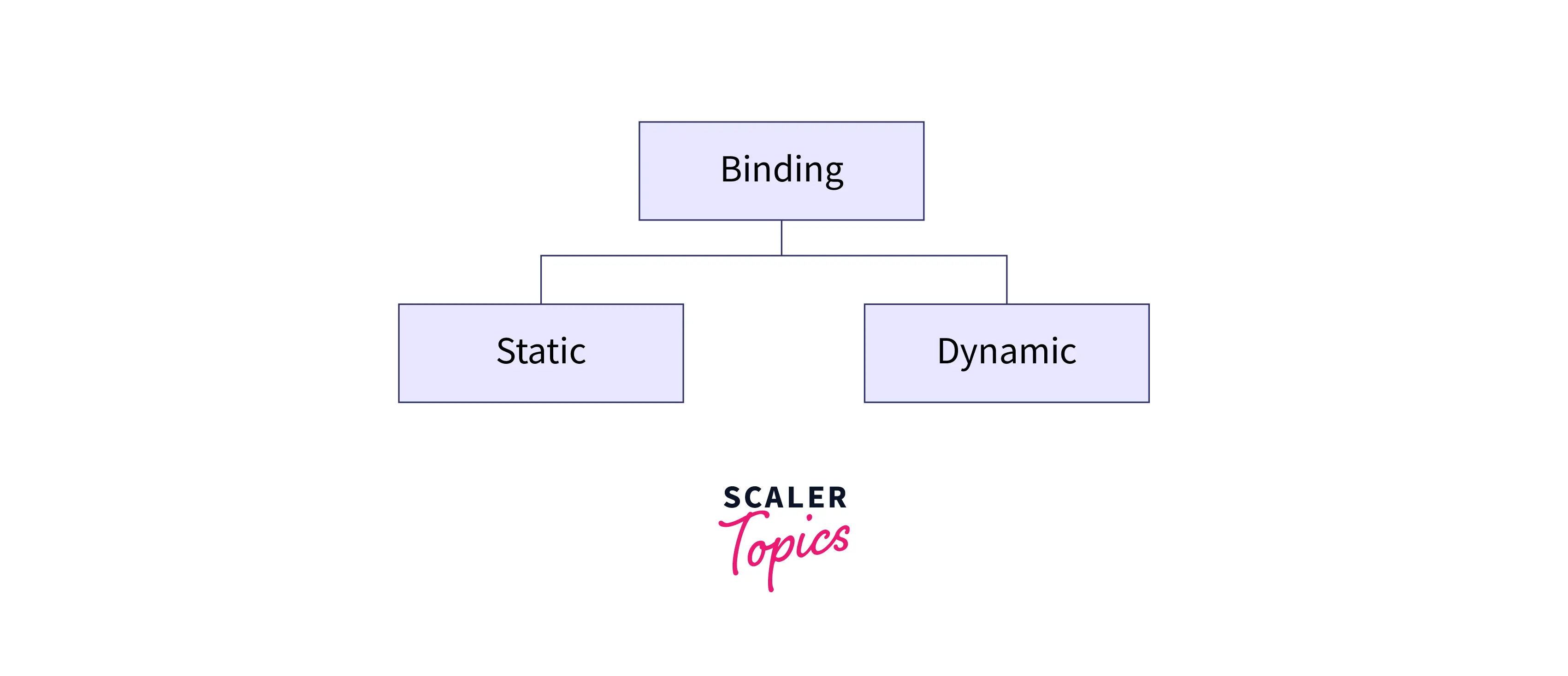 What are Static Binding and Dynamic Binding in C++? Scaler Topics