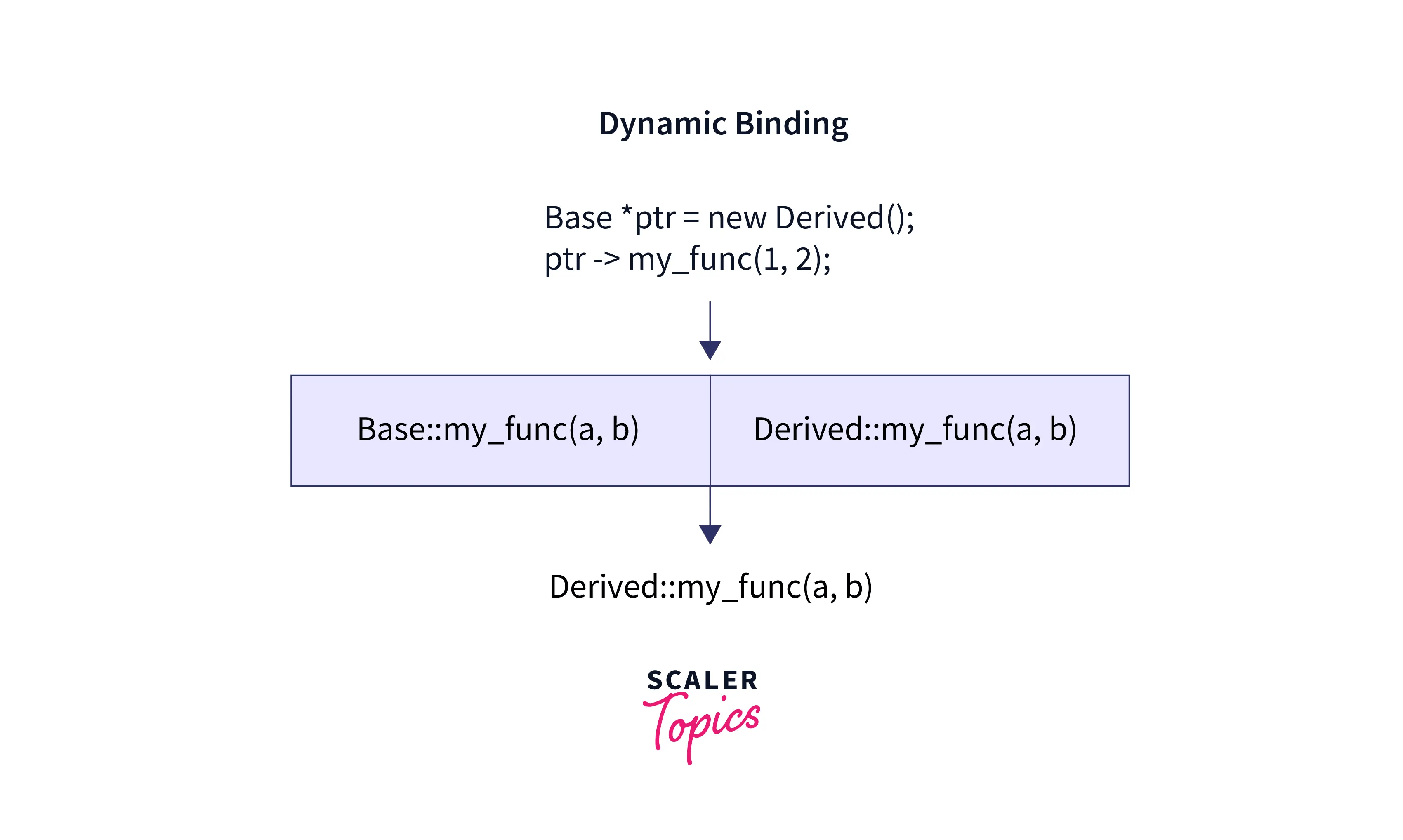 What are Static Binding and Dynamic Binding in C++? Scaler Topics