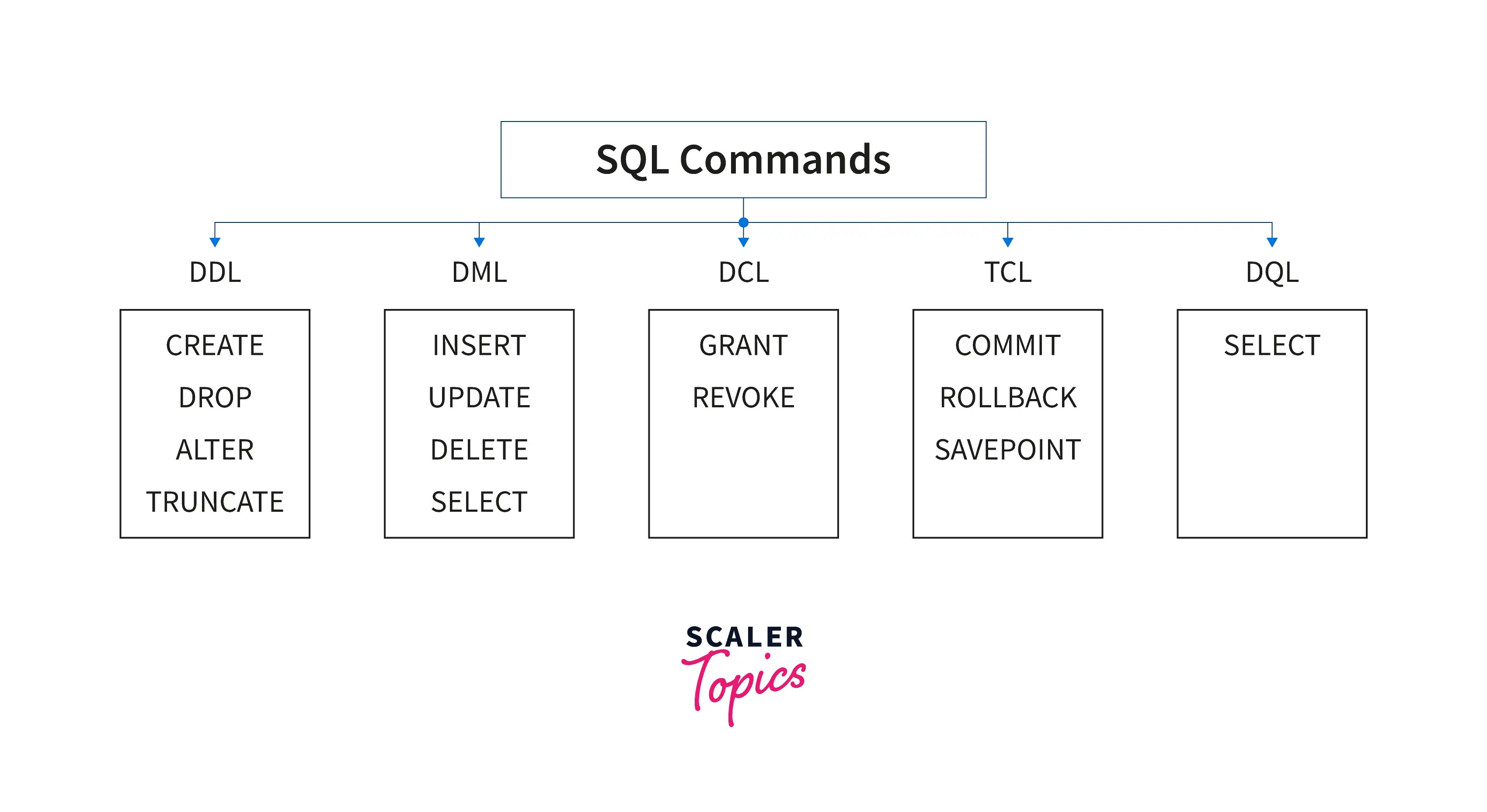 DDL in dbms Scaler Topics