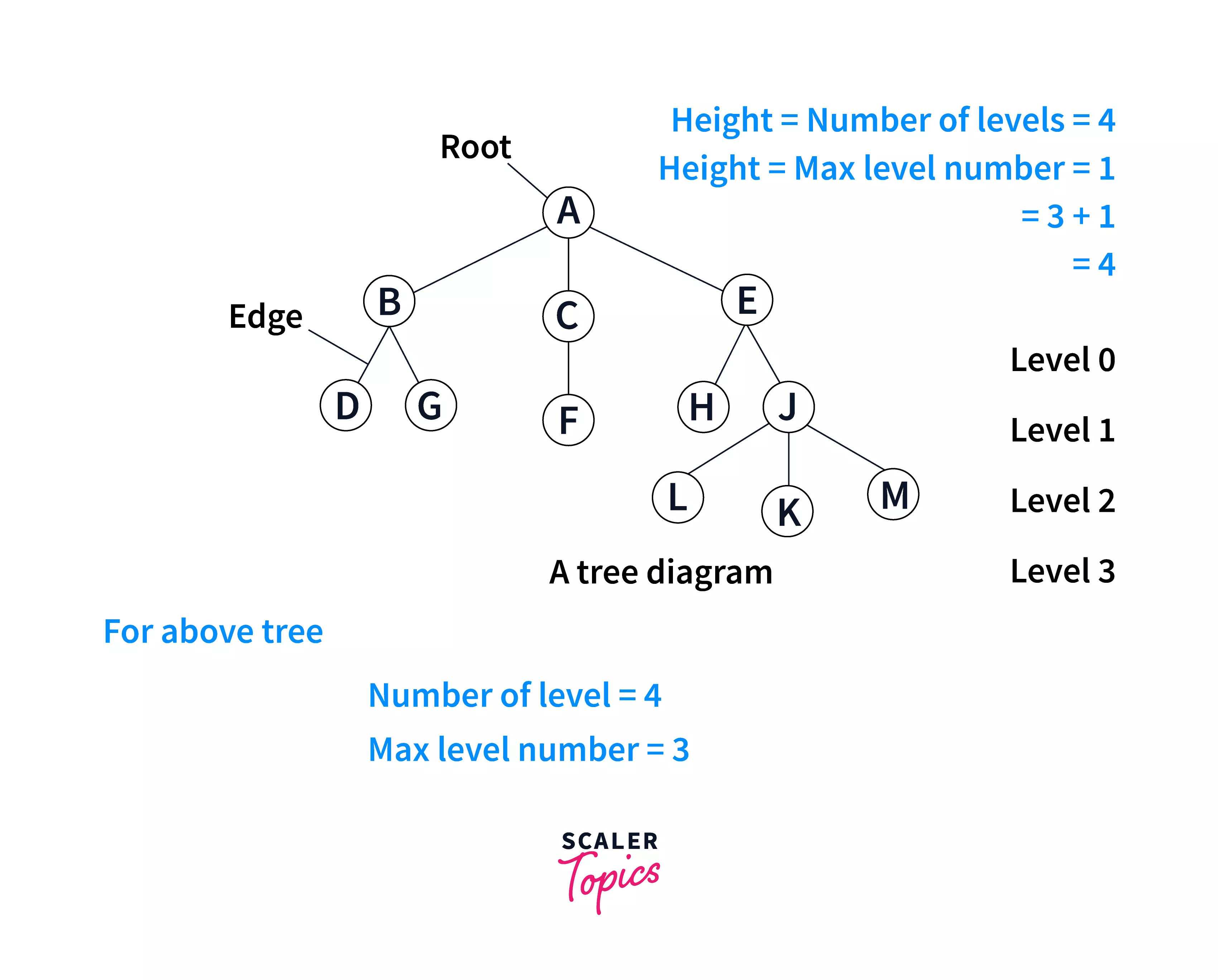 Binary Tree in C Types and Implementation Scaler Topics