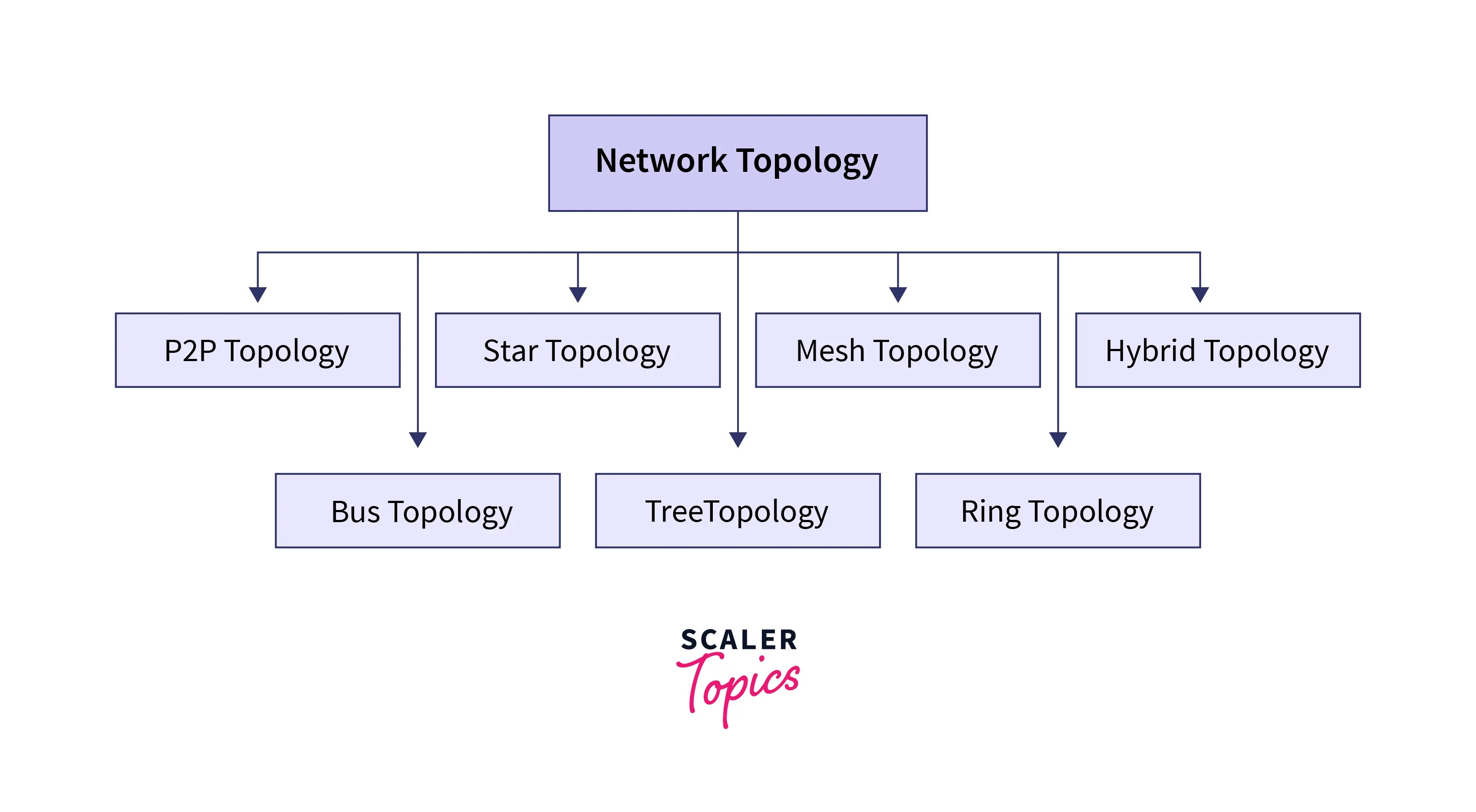 Types of Network Topologies Scaler Topics