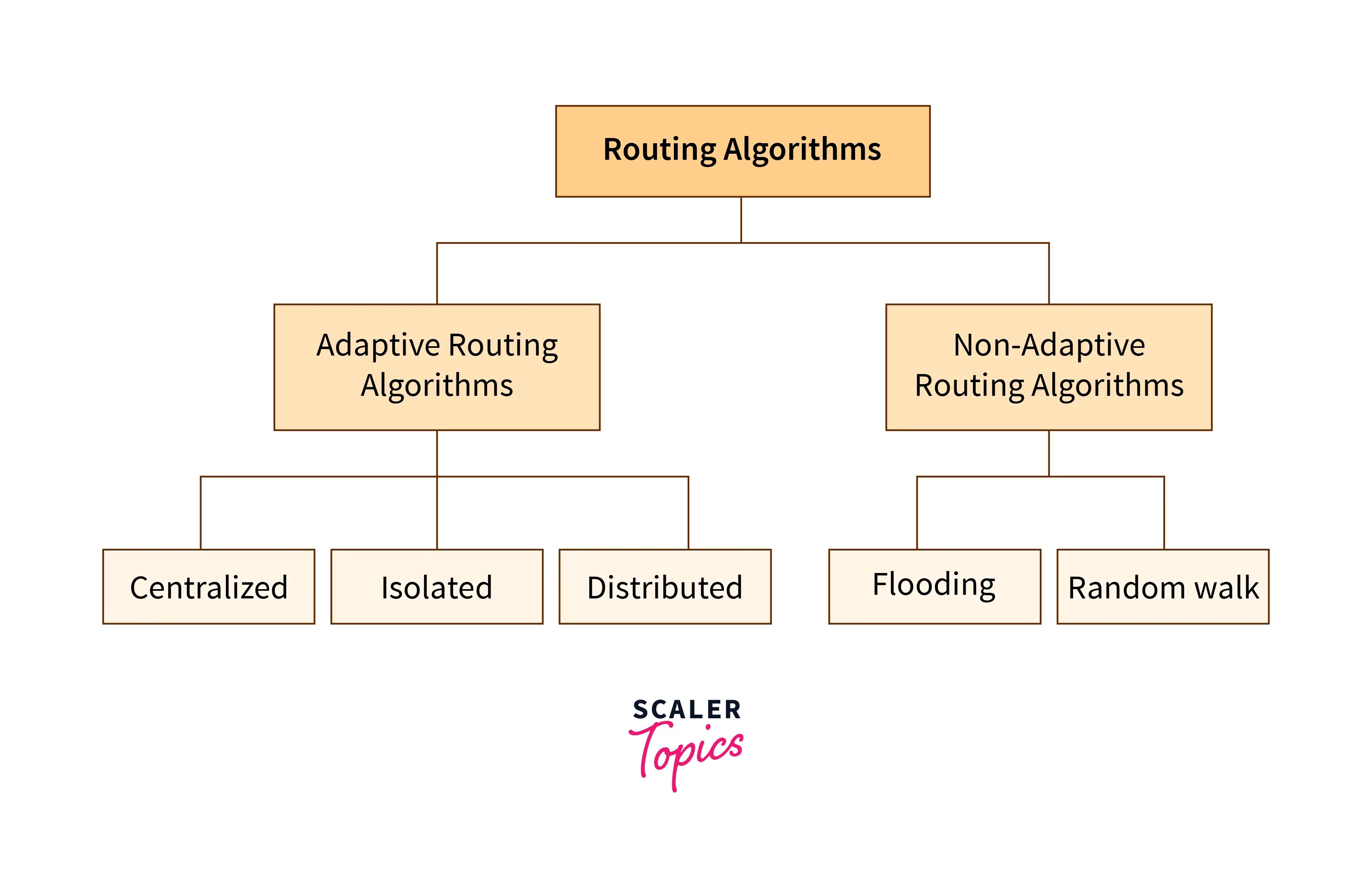 Routing Algorithms in Computer Networks Scaler Topics