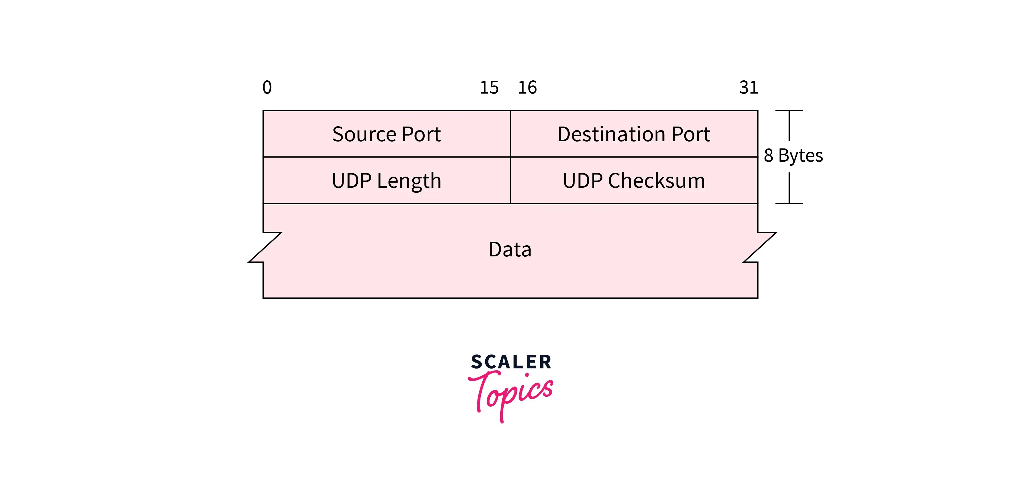 C Program for File Transfer Using UDP Scaler Topics