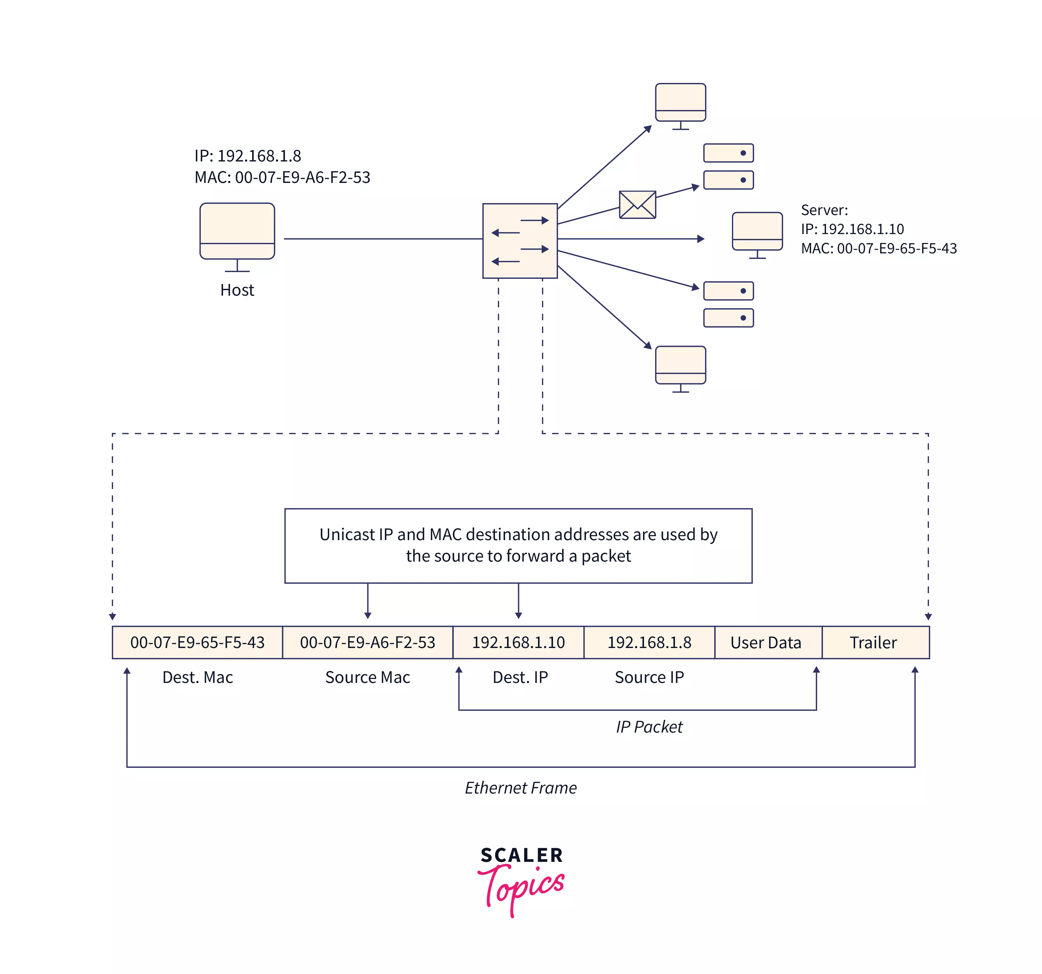 What is MAC Address? Scaler Topics
