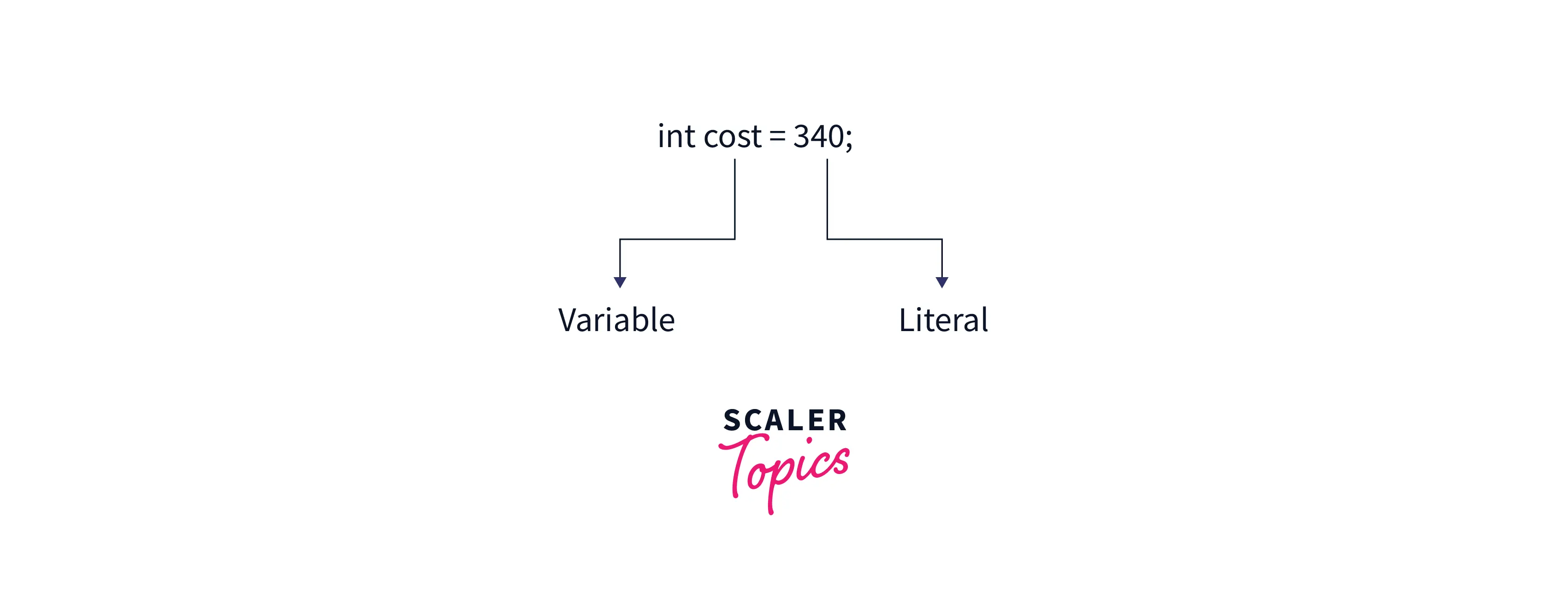 What is Java Null? Scaler Topics