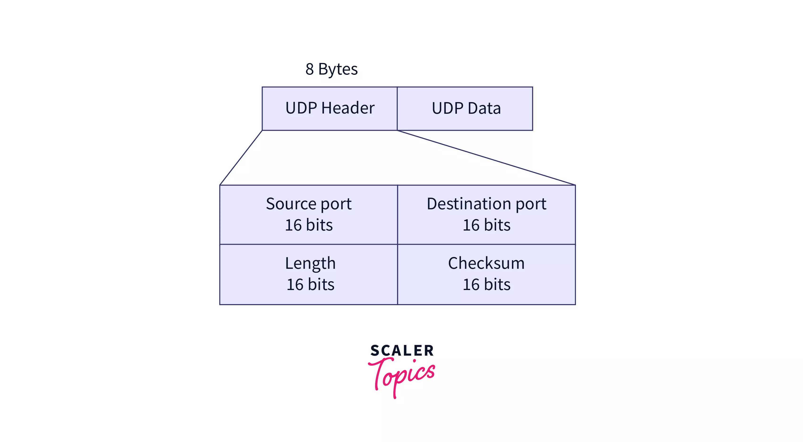 User Datagram Protocol (UDP) Scaler Topics