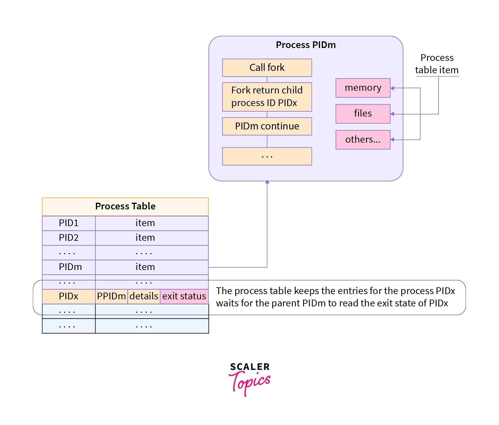 Zombie and Orphan Process in OS Scaler Topics