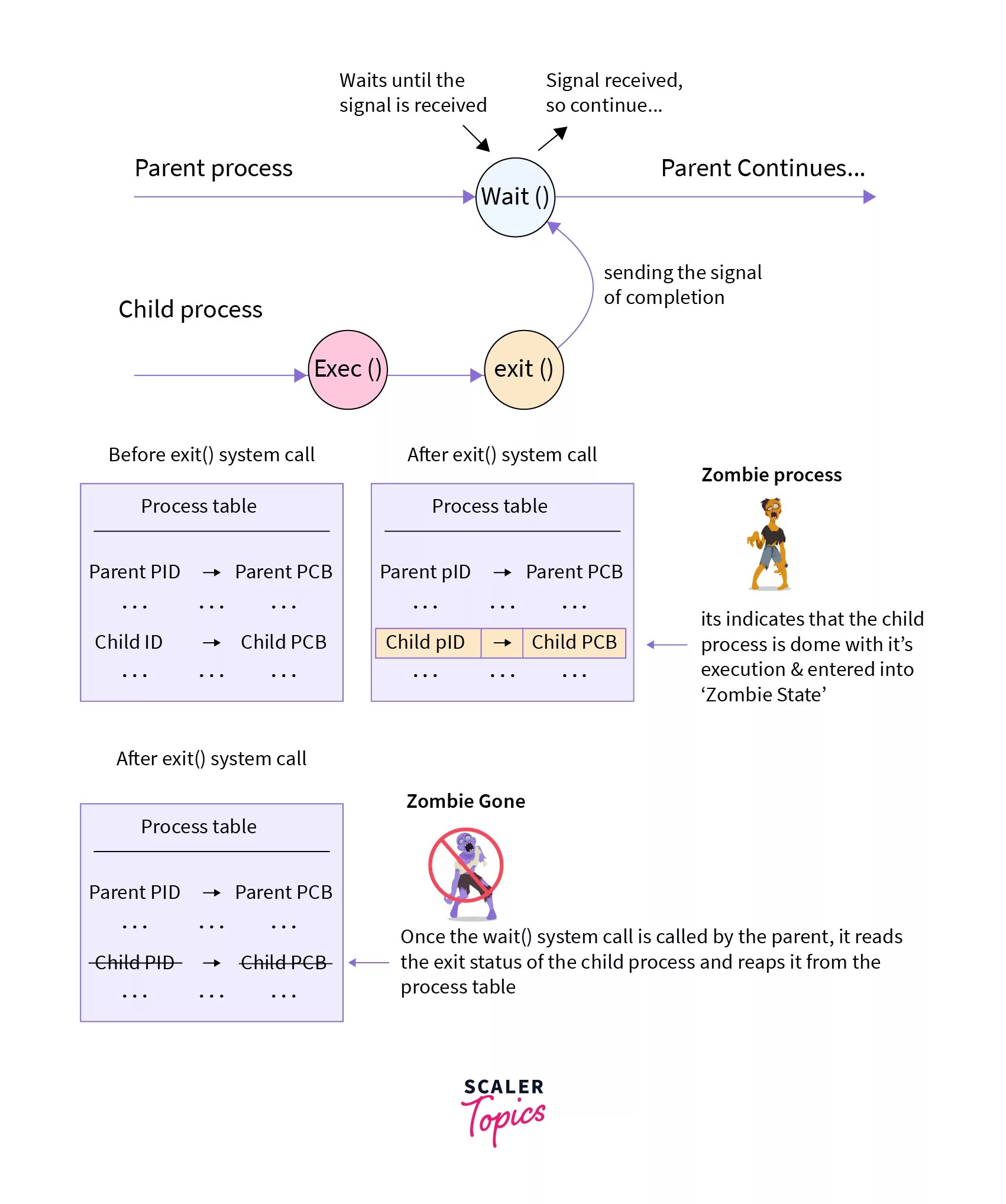 Zombie and Orphan Process in OS Scaler Topics