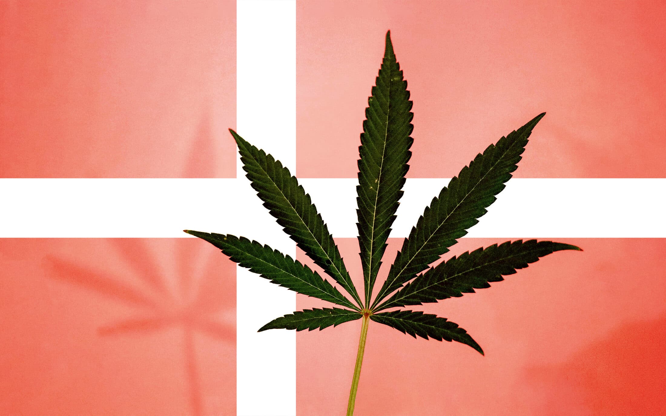 Is Weed Legal In Denmark? Marijuana In Denmark All You Need To Know