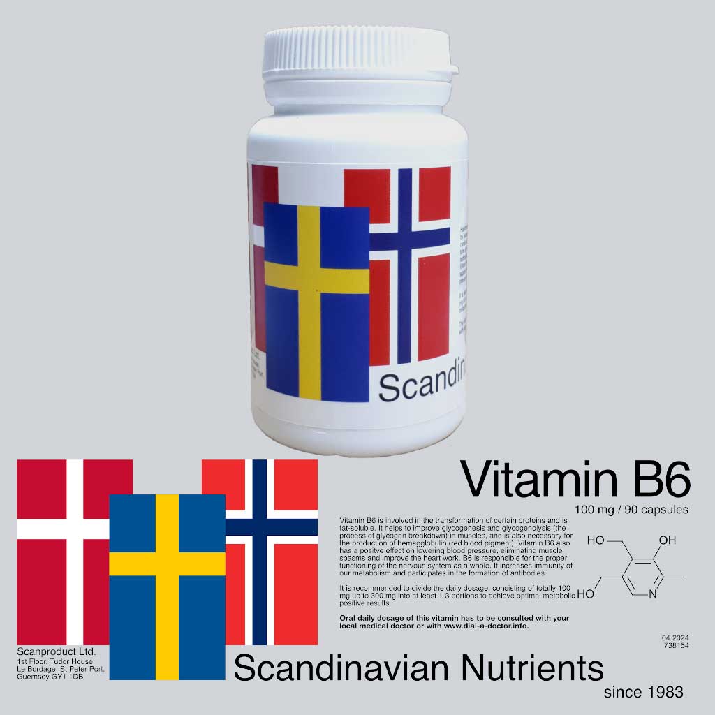 Vitamin B6 100mg 90 Capsules