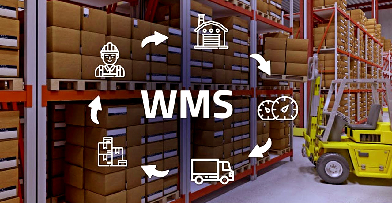 WMS назначение, функции, этапы внедрения Блог Сканпорт