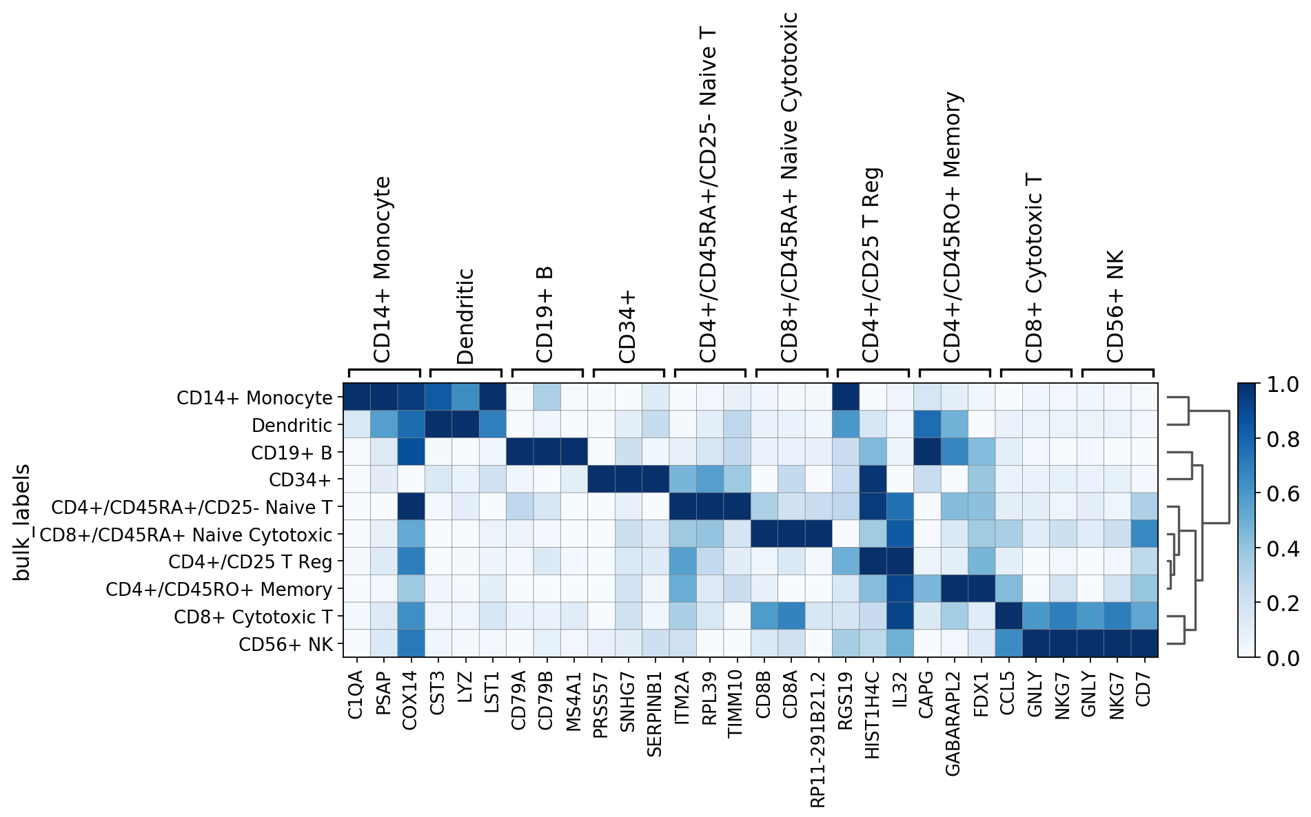 Visualizing marker genes — Scanpy documentation