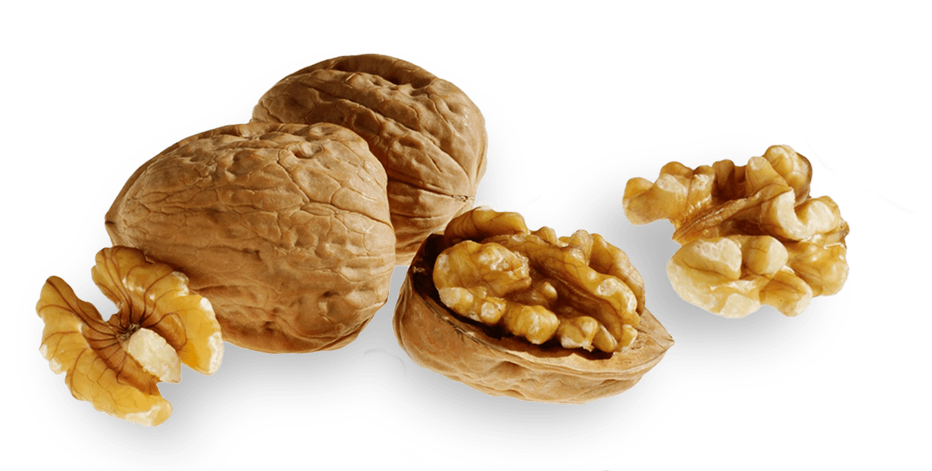 California Walnut 2022 (Final) Scan Win UAE