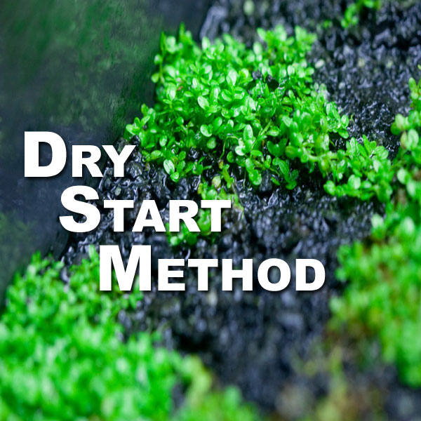Dry Start Method 7 Tips for Success SF 027 ScapeFu