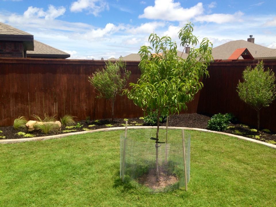 Full Service Custom Landscape Design Services in Lubbock, TX