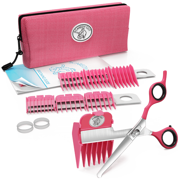 How Do You Cut A Dog's Hair With Scissors at Stephanie Spencer blog