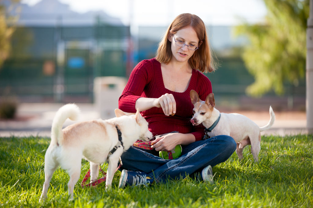 Scaredy Dog Training Services Las Vegas based dog trainer & pet sitter