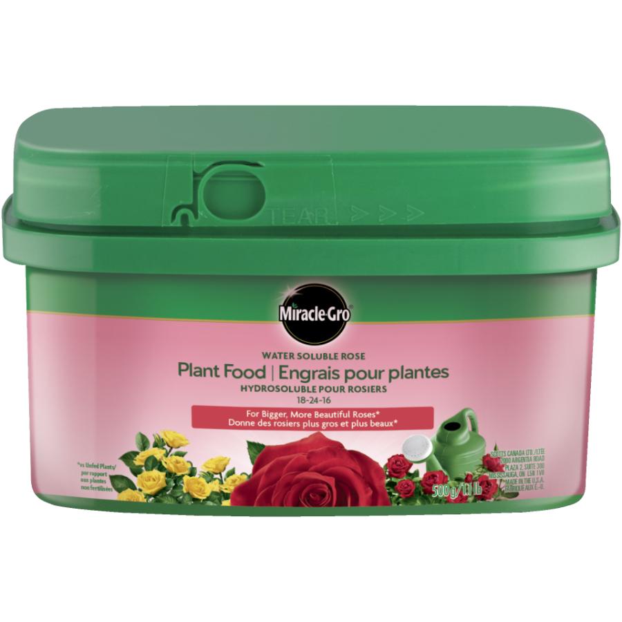 MiracleGro Water Soluble Rose Plant Food, 182416, 500g Scarlett
