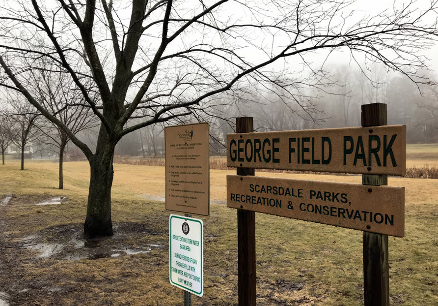 Field Park Scarsdale Secrets