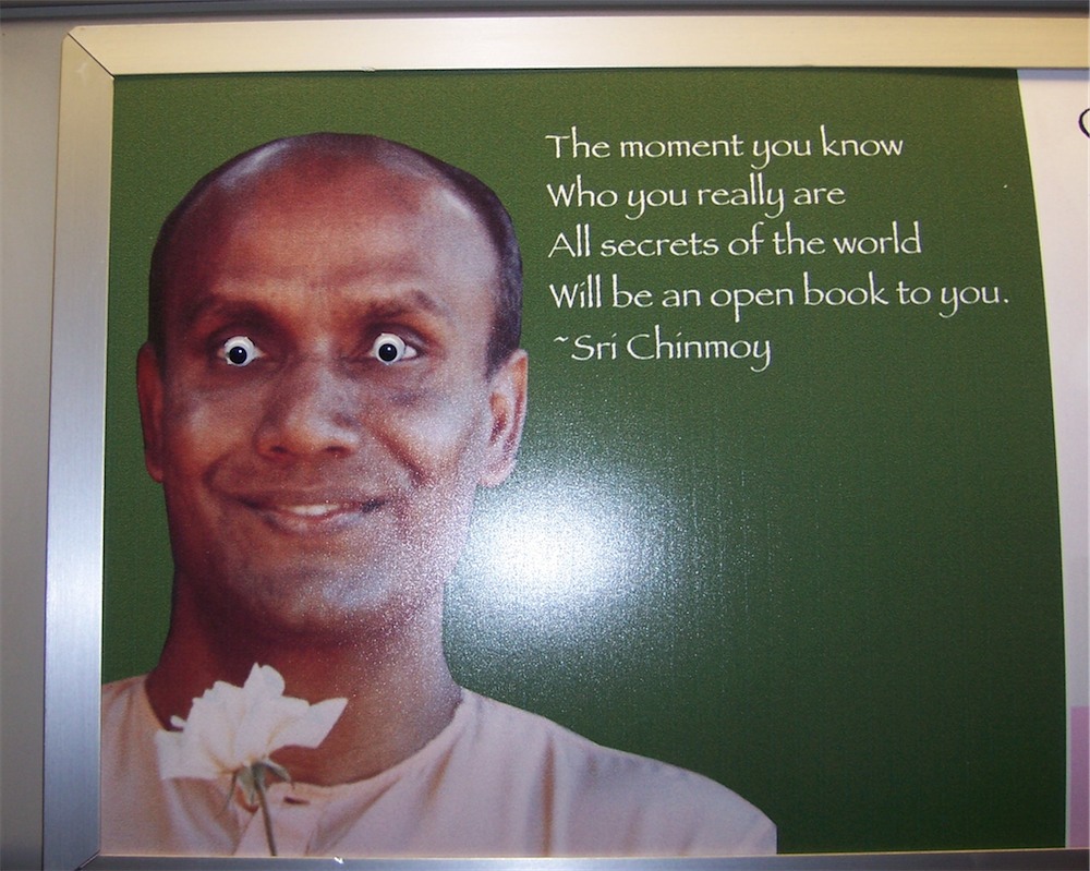 Fun for less than 5 Googly Eyes!