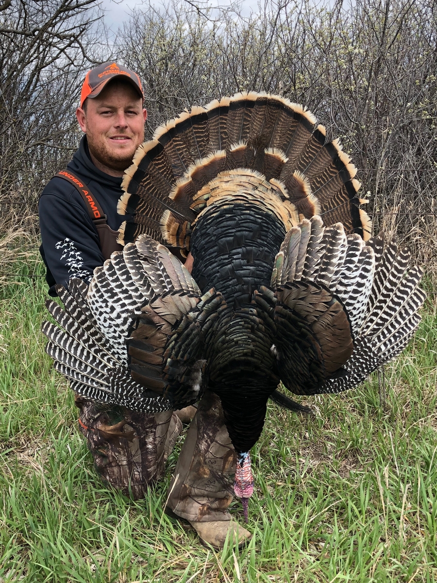 Big Game & Upland Hunts in Kansas Scattered Acres Outfitting LLC