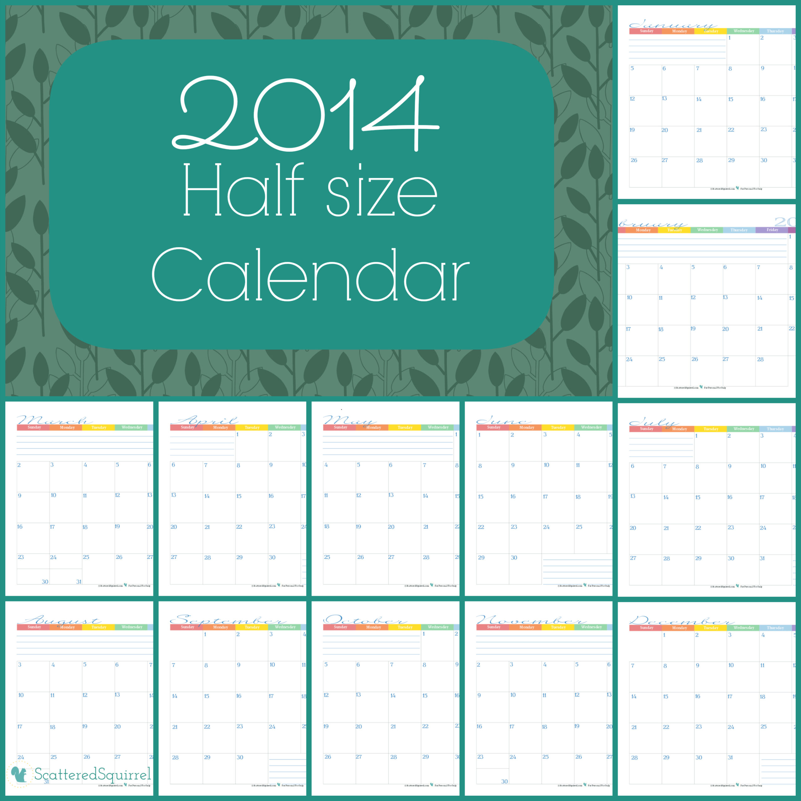 Scattered Squirrel Half Page 2024 Monthly Calendar 2014 Calendars Half Size Edition Scattered Squirrel