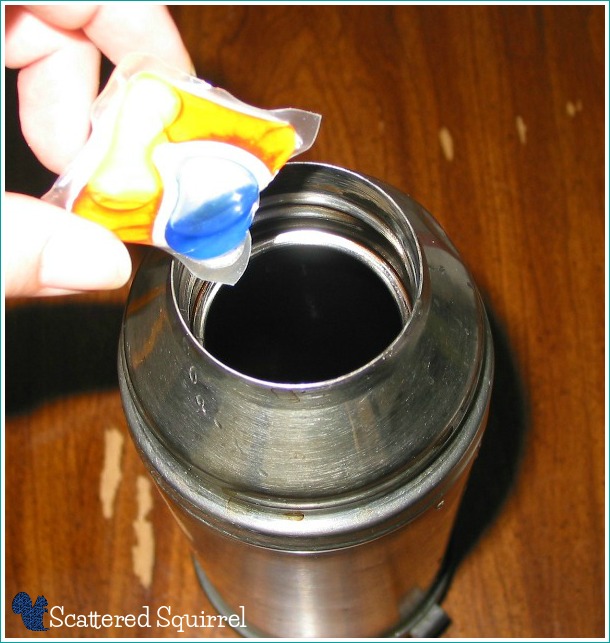 Clean a Coffee Thermos Scattered Squirrel