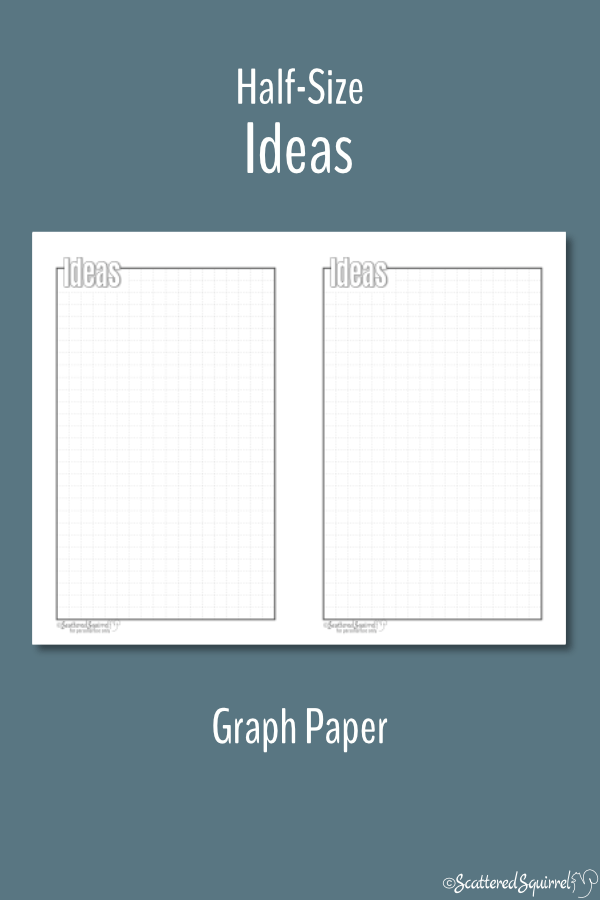 HalfSize Ideas Graph Paper Scattered Squirrel