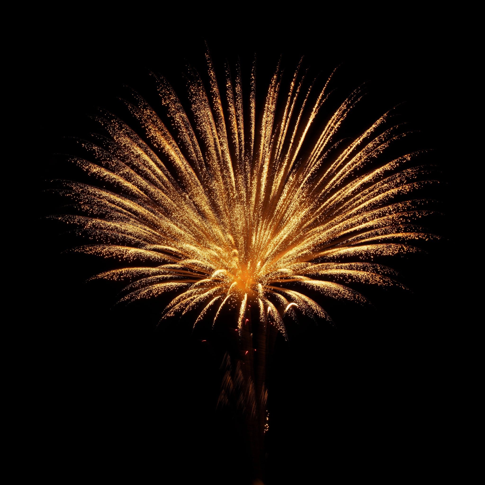 Ashes In Fireworks Usa Sante Blog