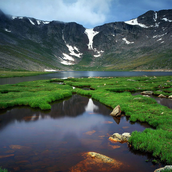 💣 Aesthetic value of biodiversity. Biodiversity Values 6 Major Values