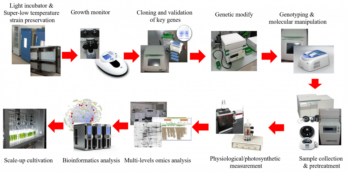 Lab facilities Algal Bioactives & Bioproducts