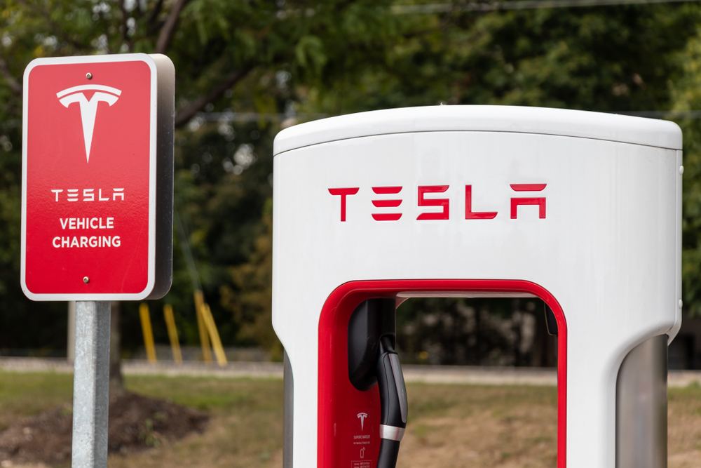 Tesla's German Factory Could Be Delayed So Animals Can Hook Up Supply