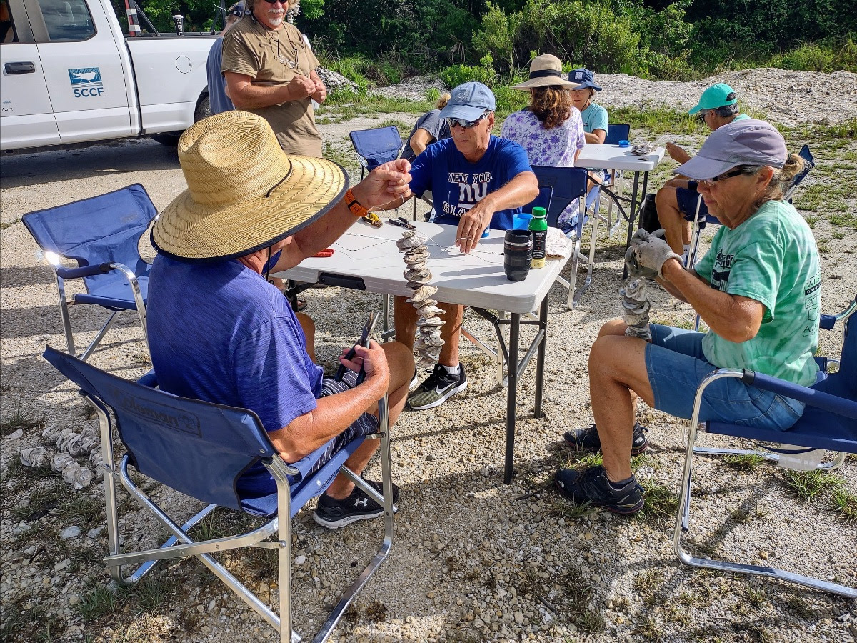 Making Oyster Gardens SanibelCaptiva Conservation Foundation