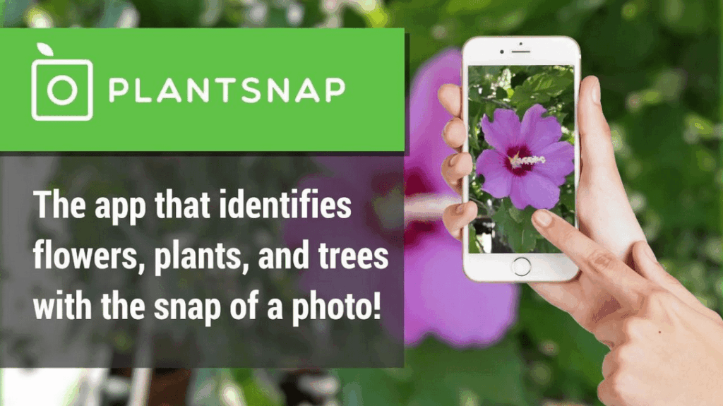 The Best 10 Free Plant Identification App