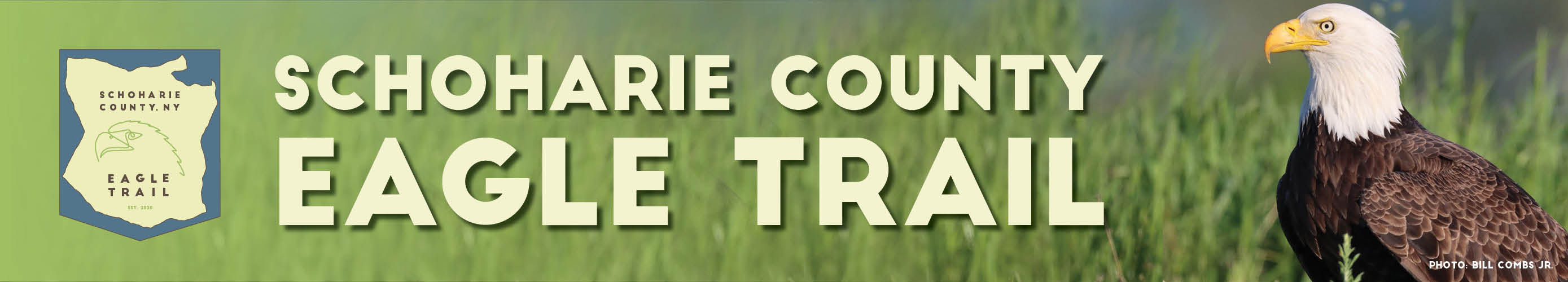 Schoharie County Eagle Trail