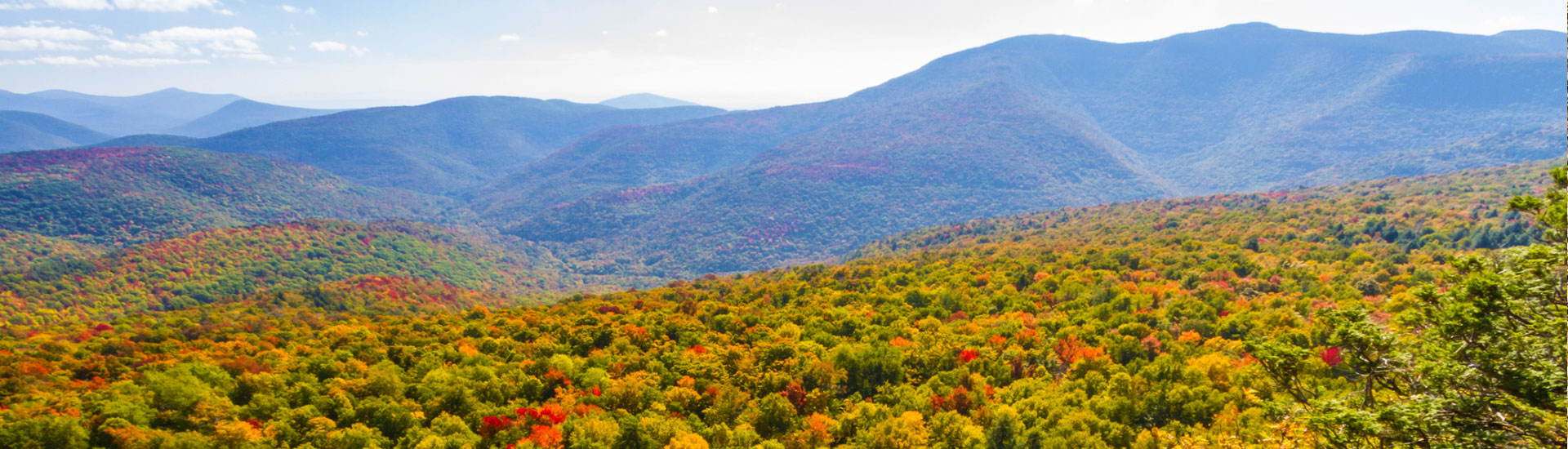 Esopus Creek to Slide Mountain The Catskill Mountains Scenic Byway