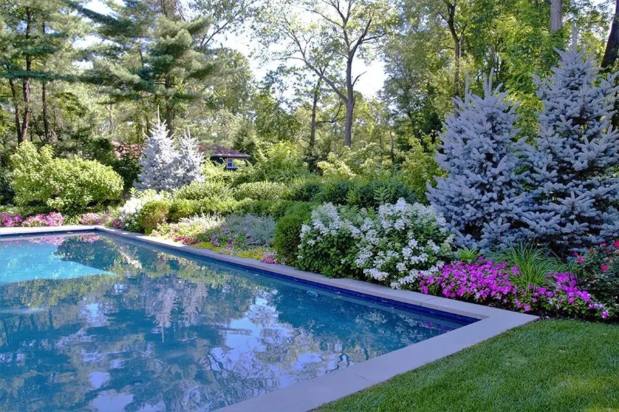 Garden Property Pool Design, Closter NJ