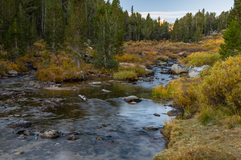 Eastern Sierra Fall Colors 2023