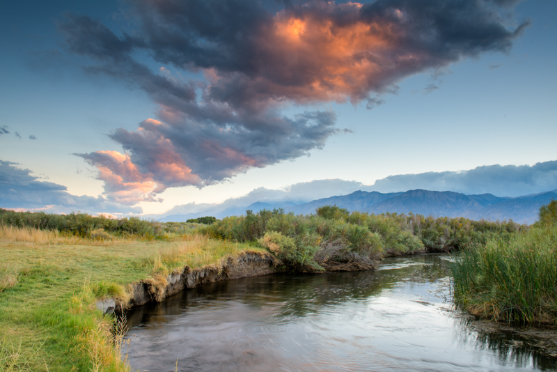 Eastern Sierra Fall Colors 2023