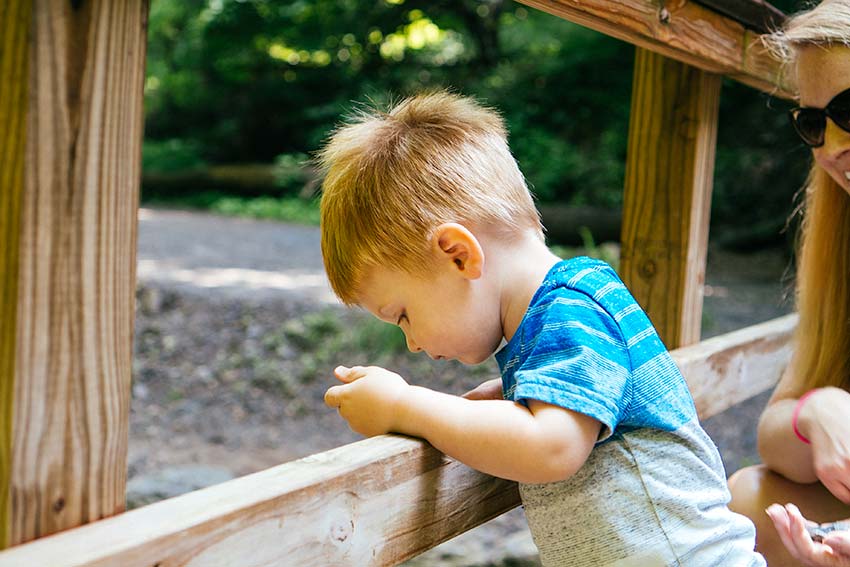 Fall Run Park The Best Waterfall Near Pittsburgh Scenic States
