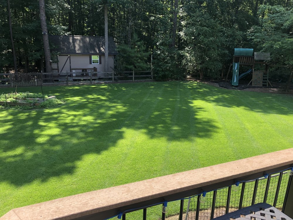 Projects Matthews, Pineville, NC Scenic View Lawn Care