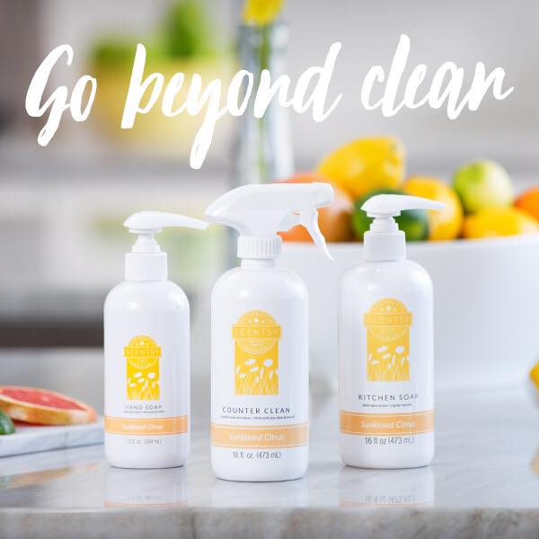 Scentsy Honeymoon Hideaway Hand Soap Scentsy® Online Store