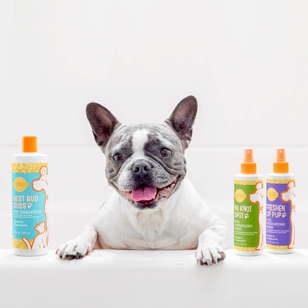 Introducing Scentsy Pets! Scentsy® Online Store