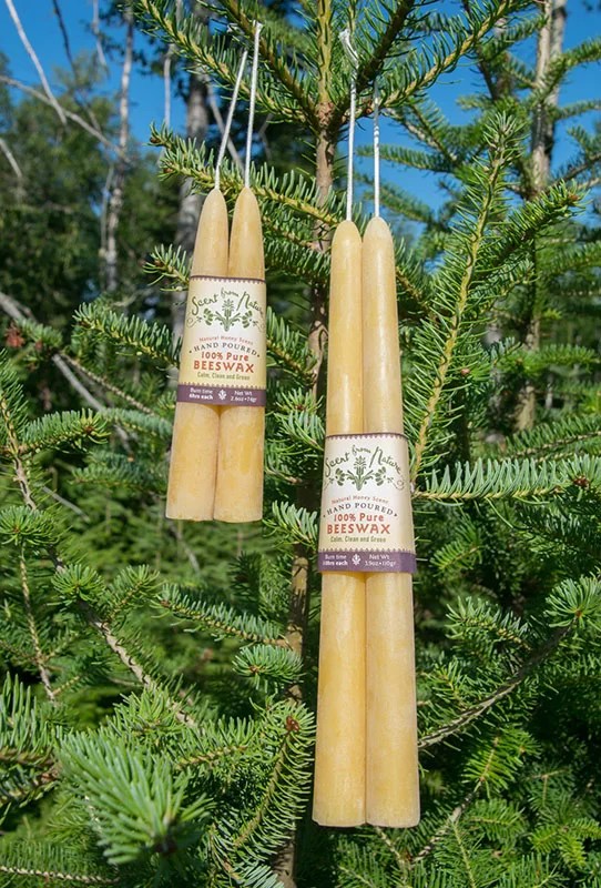 6 inch 2Pk 100 Pure Beeswax Tapers Scent from Nature