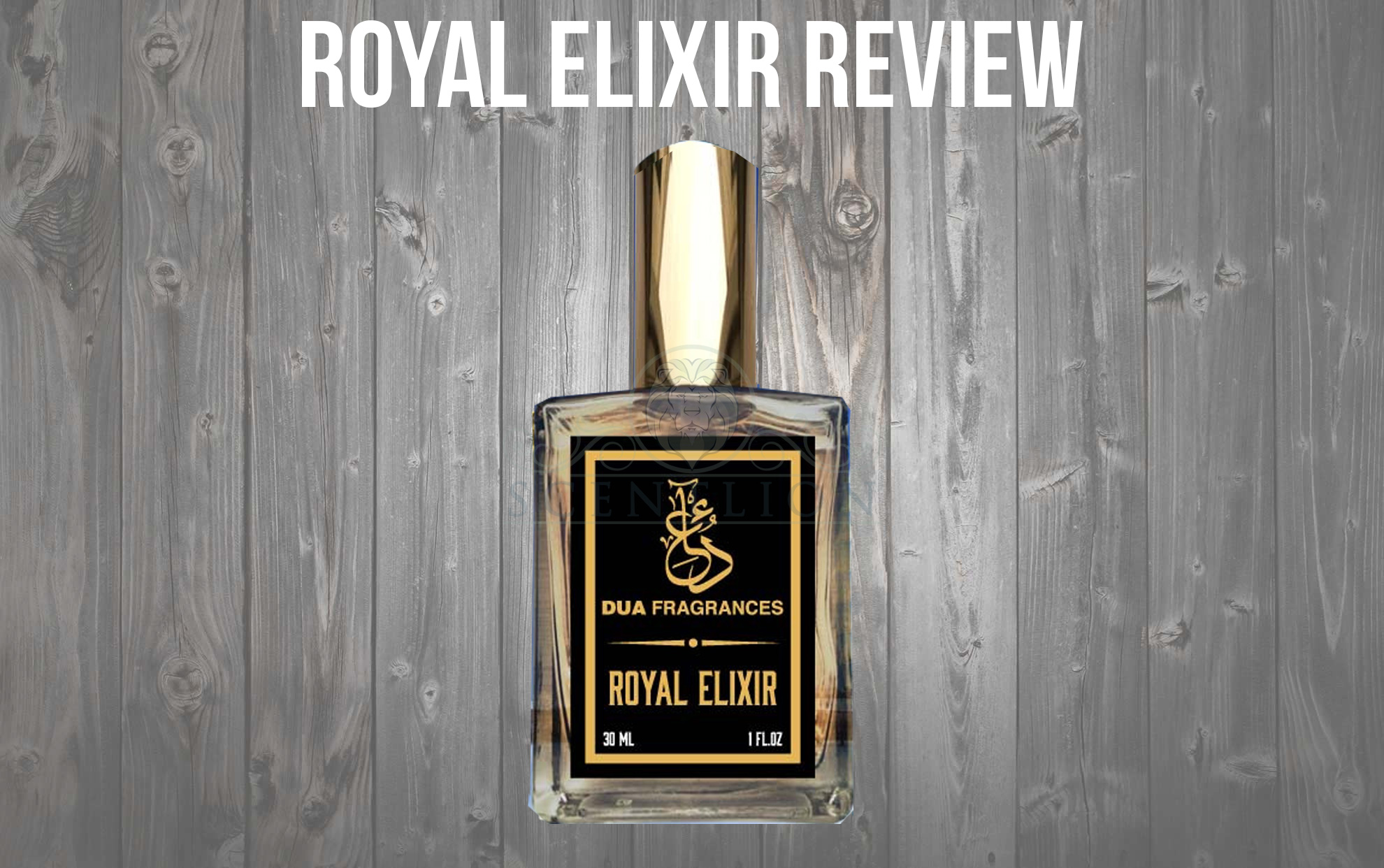 Insurrection Pure 2 Reyane Tradition Review Scent Lion Review