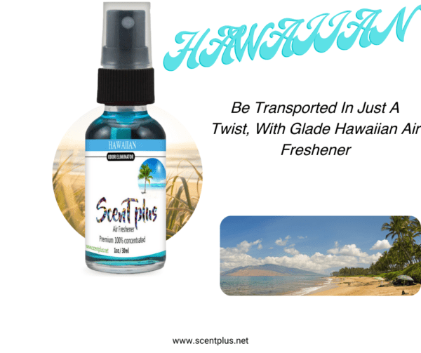 Scent Plus Air Freshener Hawaiian 100 Oil Based