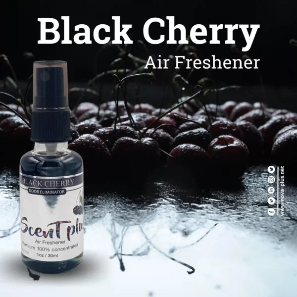 Scent Plus Air Freshener Black Cherry 100 Oil Based
