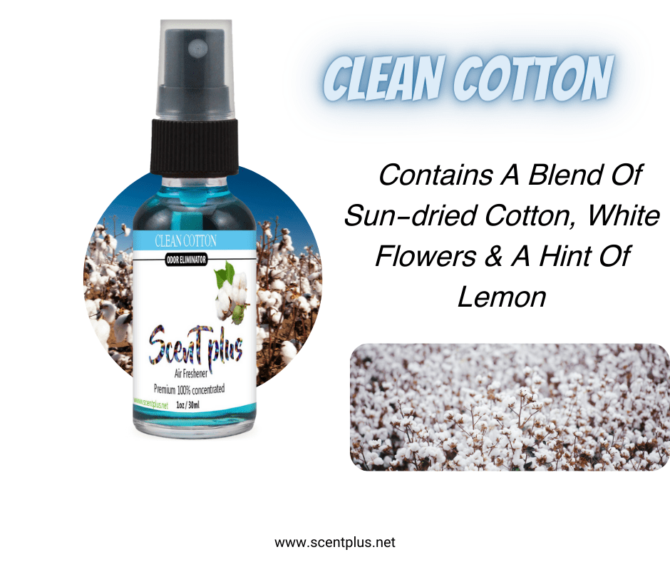 Scent Plus Air Freshener Clean Cotton 100 Oil Based