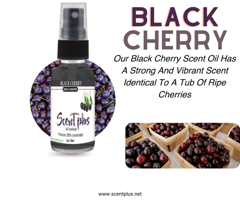 Scent Plus Air Freshener Black Cherry 100 Oil Based